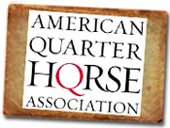 American Quarter Horse Association